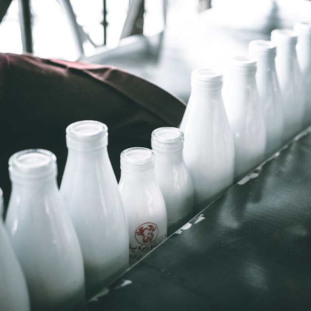 Dairy Products